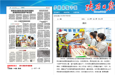 俄罗斯专享会西北集团珑樾府项目高温慰问——《陕西日报》